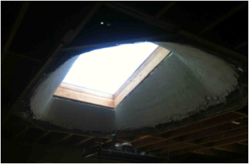 Description: skylight-d